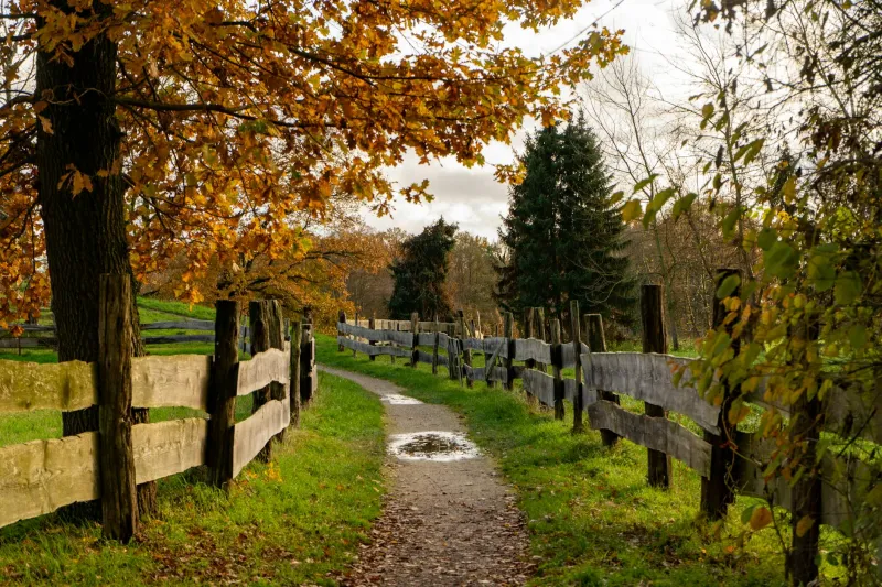 Verwurzelt und frei: Wie regionale Identität zur kreativen Superkraft wird